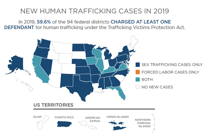 Human Trafficking Cases